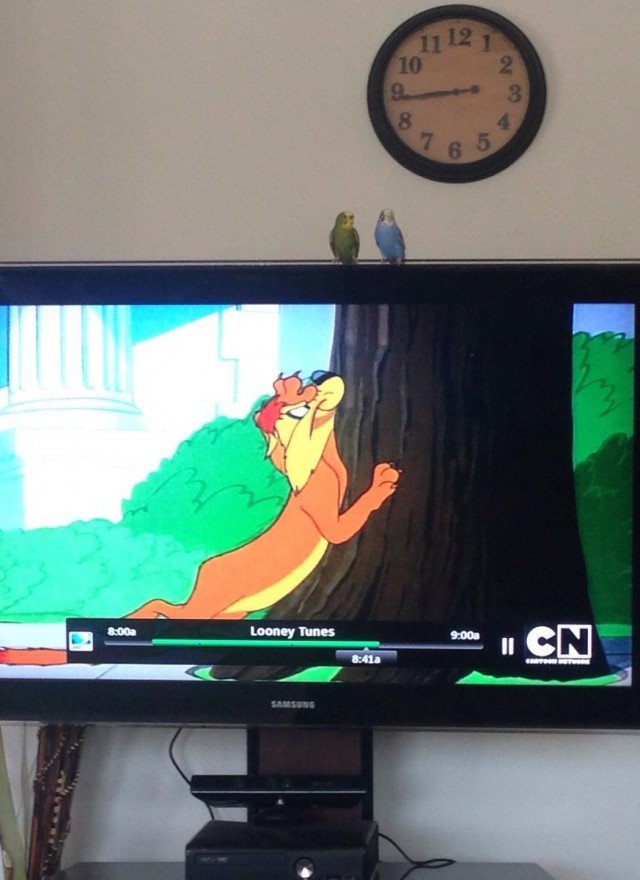 Daily Pictures. Part 2 (64 pics) Daily Pictures. Part 2 (64 pics)