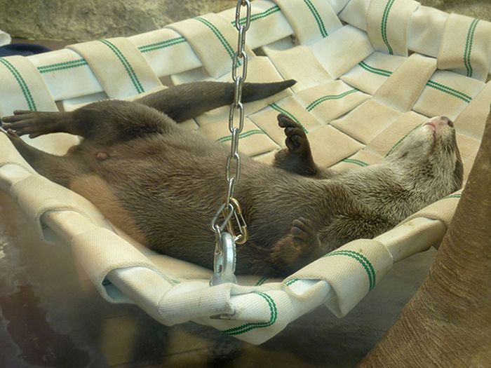 Daily Pictures. Part 2 (64 pics) Daily Pictures. Part 2 (64 pics)