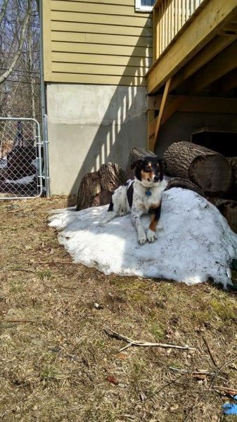 Daily Pictures. Part 1 (65 pics)