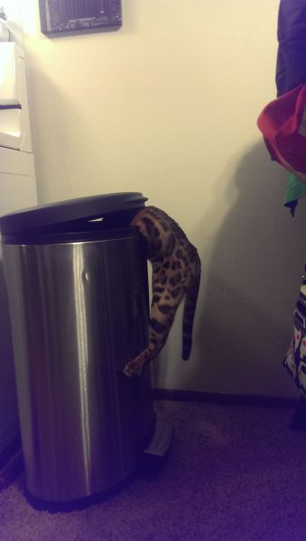 Daily Pictures. Part 1 (65 pics)