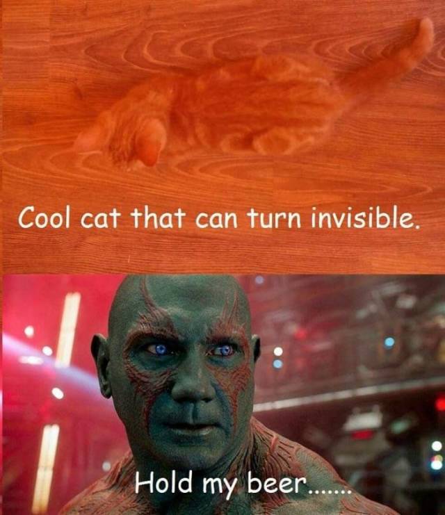 Daily Pictures. Part 2 (64 pics) Daily Pictures. Part 2 (64 pics)