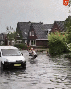 Acid GIFs, November 25 (25 gifs)