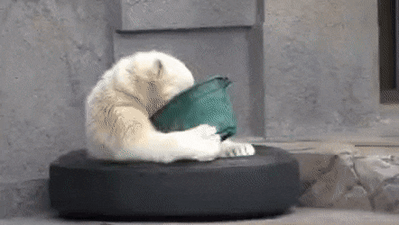 Acid GIFs, November 25 (25 gifs)