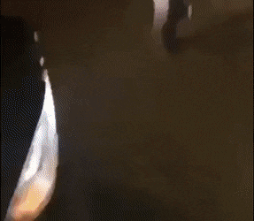 Acid GIFs, November 25 (25 gifs)