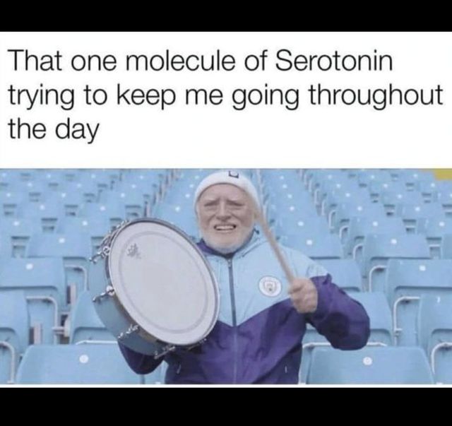 Random Memes (22 pics)