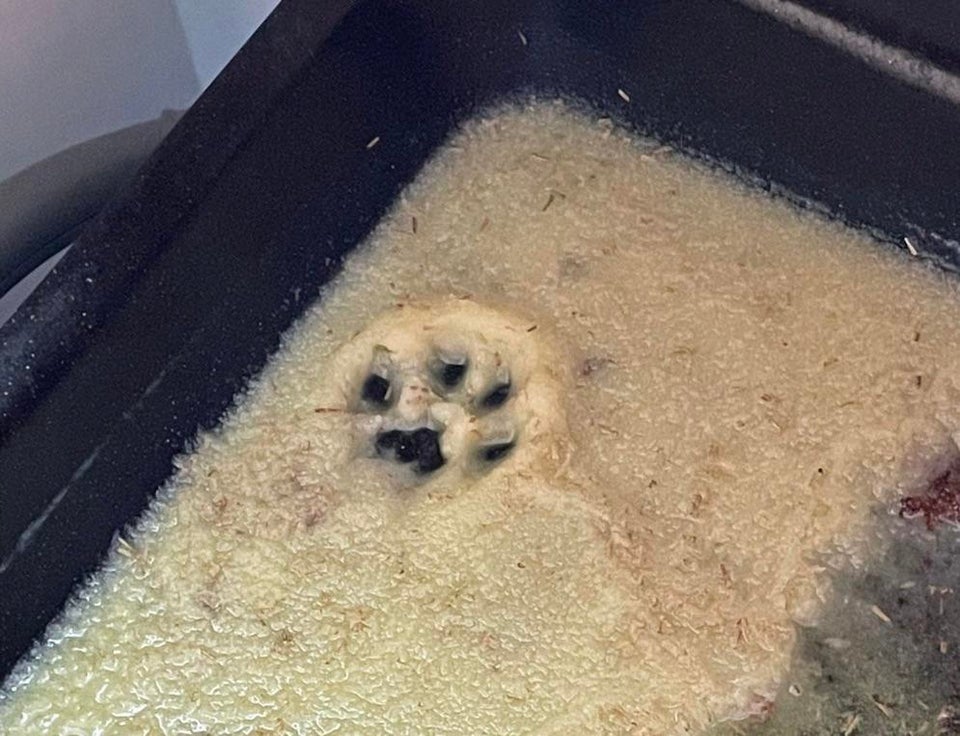 Kitchen Fails (18 pics) Kitchen Fails (18 pics)