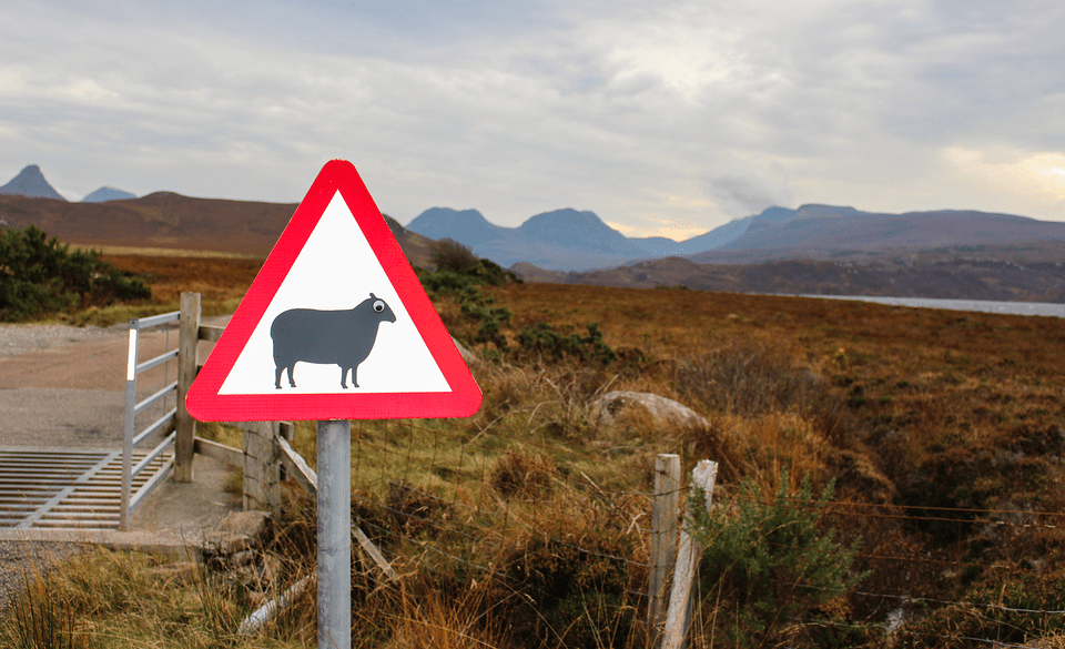 Funny Street Art (15 pics)