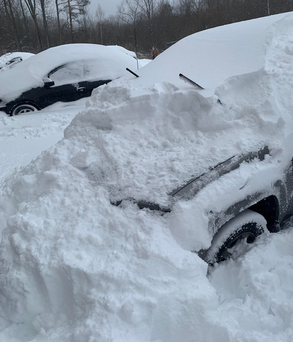 Bad Days Happen (37 pics)