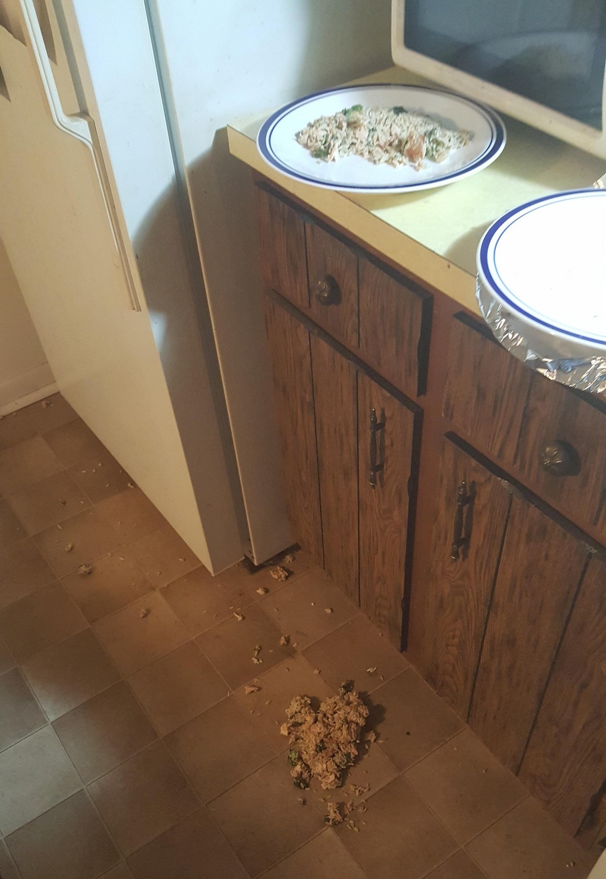 Bad Days Happen (37 pics)