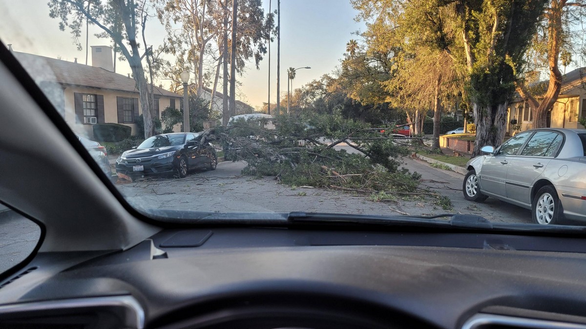 Bad Days Happen (37 pics)