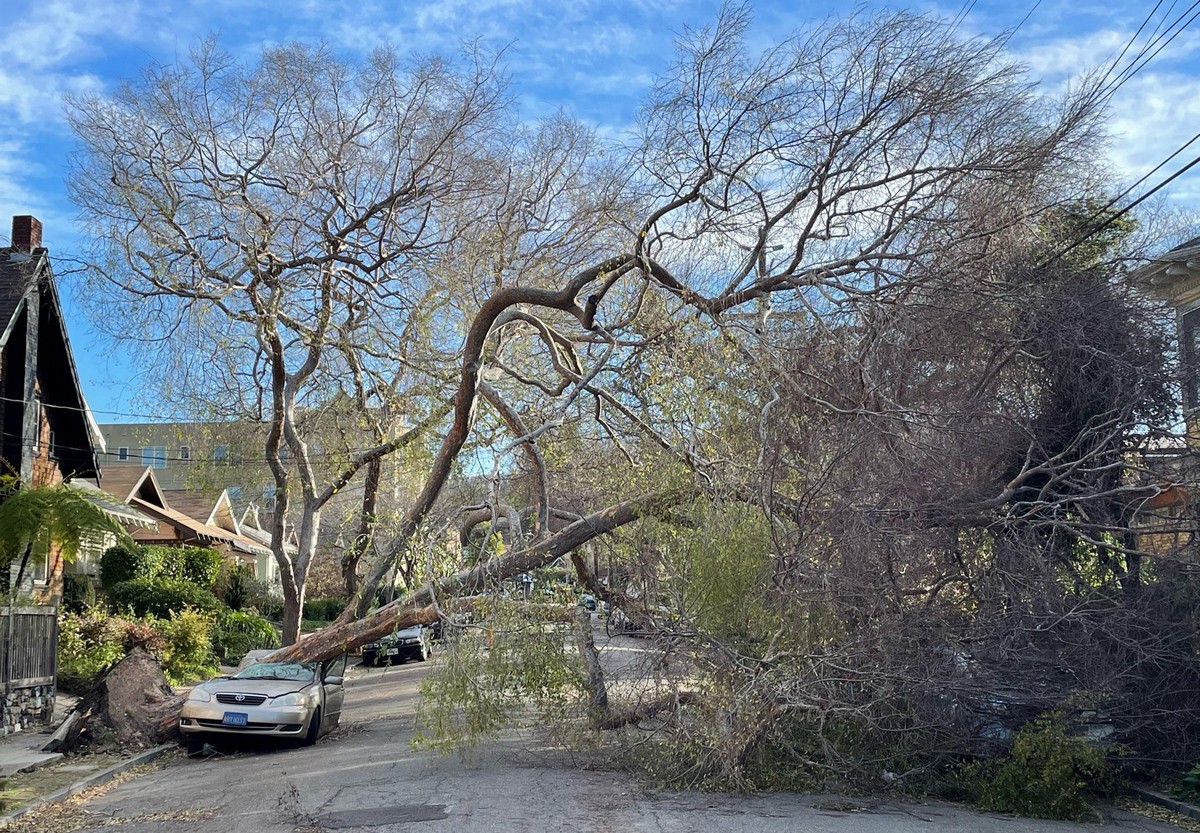 Bad Days Happen (37 pics)