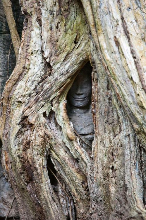 Creepy Photos And Finds (29 pics) Creepy Photos And Finds (29 pics)