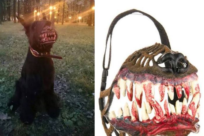 Creepy Photos And Finds (29 pics) Creepy Photos And Finds (29 pics)