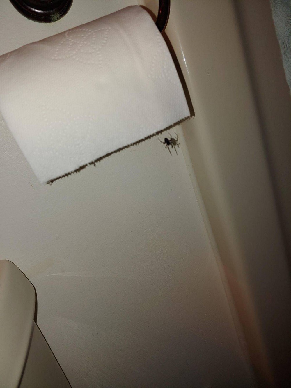 Unfortunate Situations (35 pics)