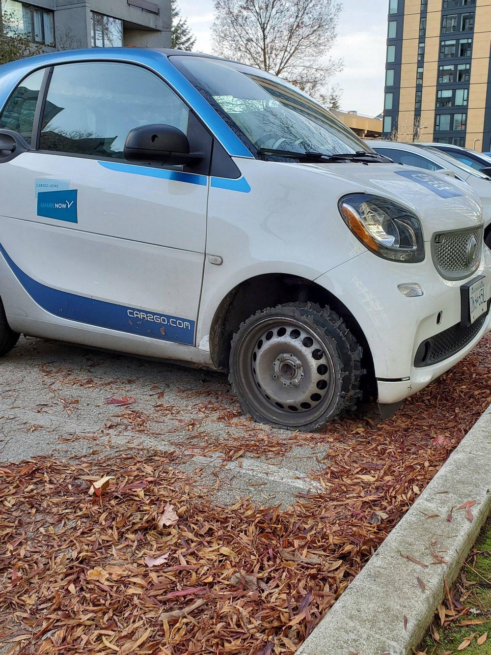 Unfortunate Situations (35 pics)