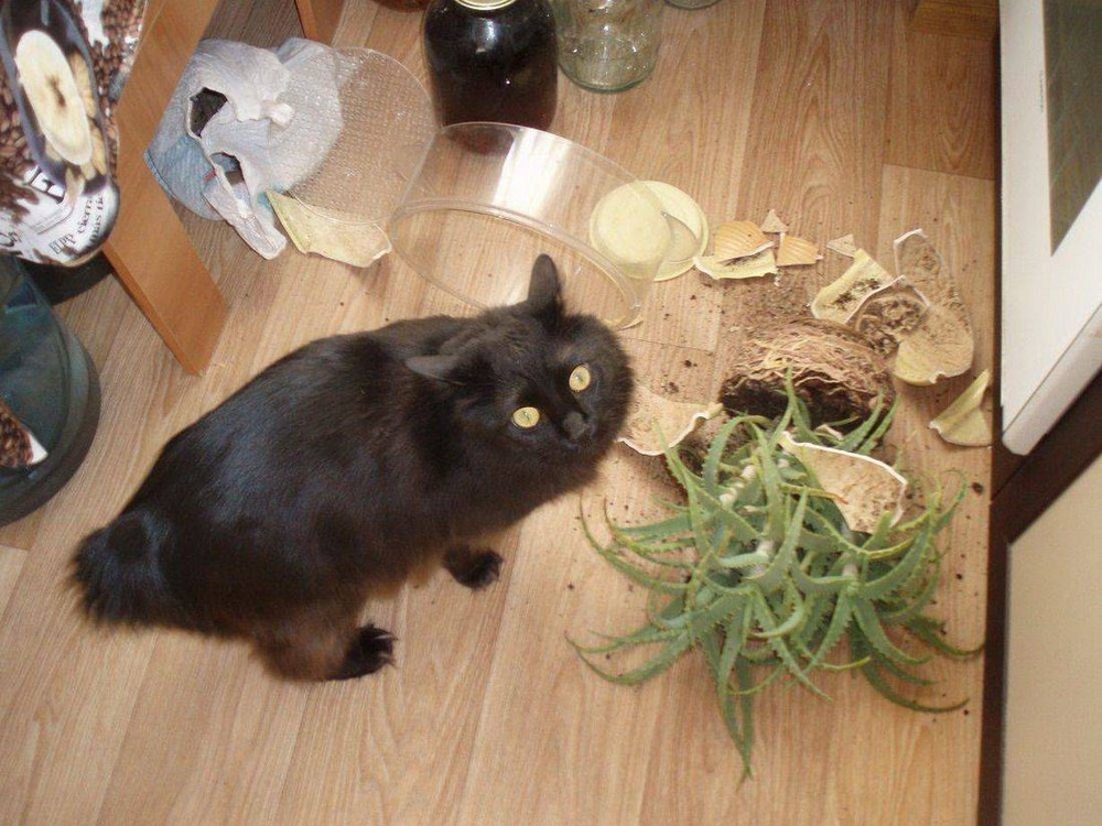 Unfortunate Situations (35 pics)