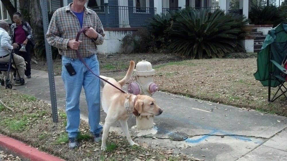 Unfortunate Situations (35 pics)