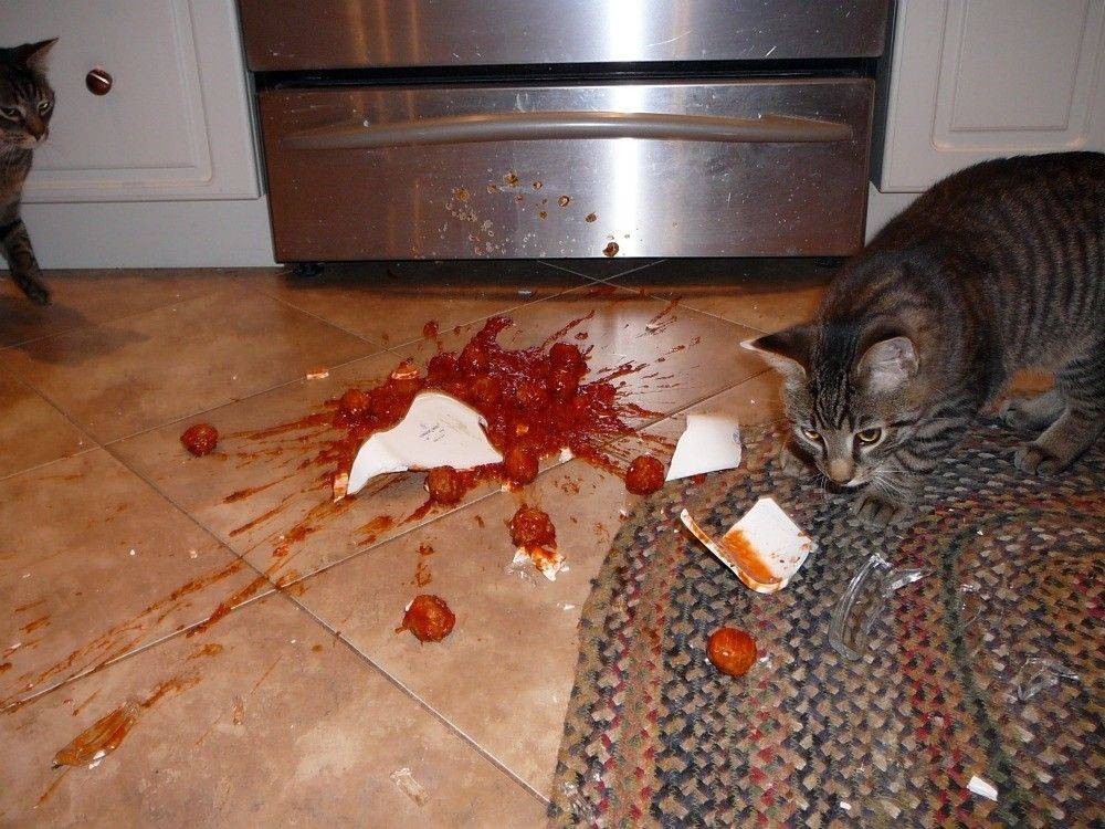 Unfortunate Situations (35 pics)