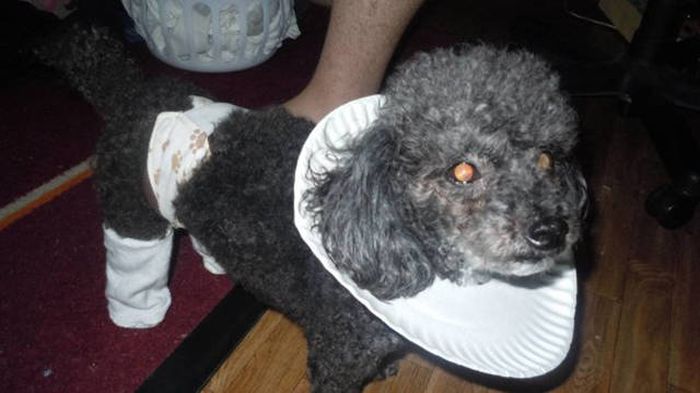 Redneck Inventions And Repairs (35 pics) Redneck Inventions And Repairs (35 pics)