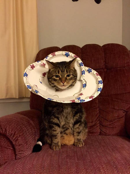 Redneck Inventions And Repairs (35 pics) Redneck Inventions And Repairs (35 pics)