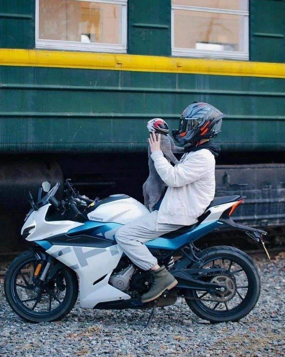 Daily Pictures. Part 1 (66 pics)