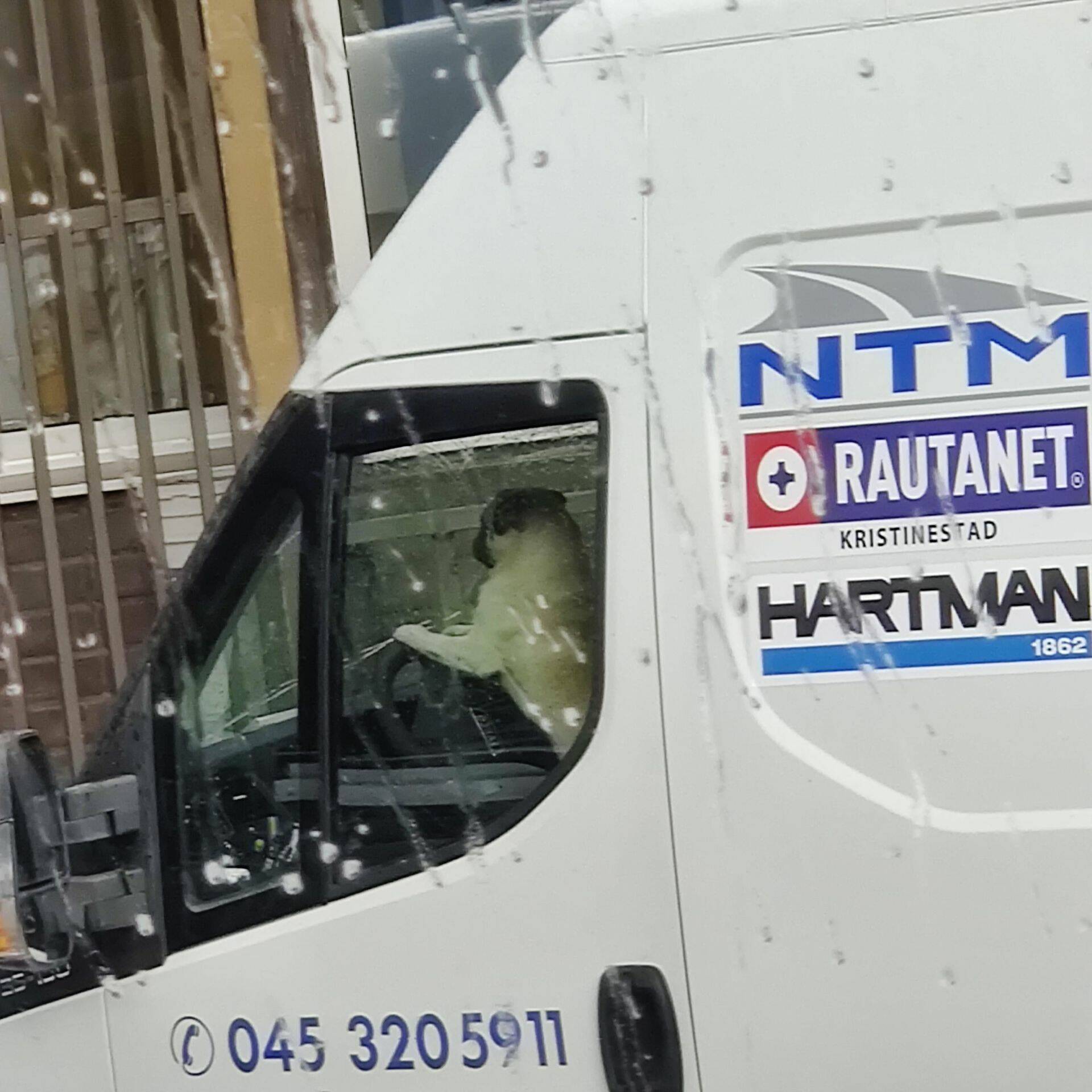 Daily Pictures. Part 1 (66 pics)