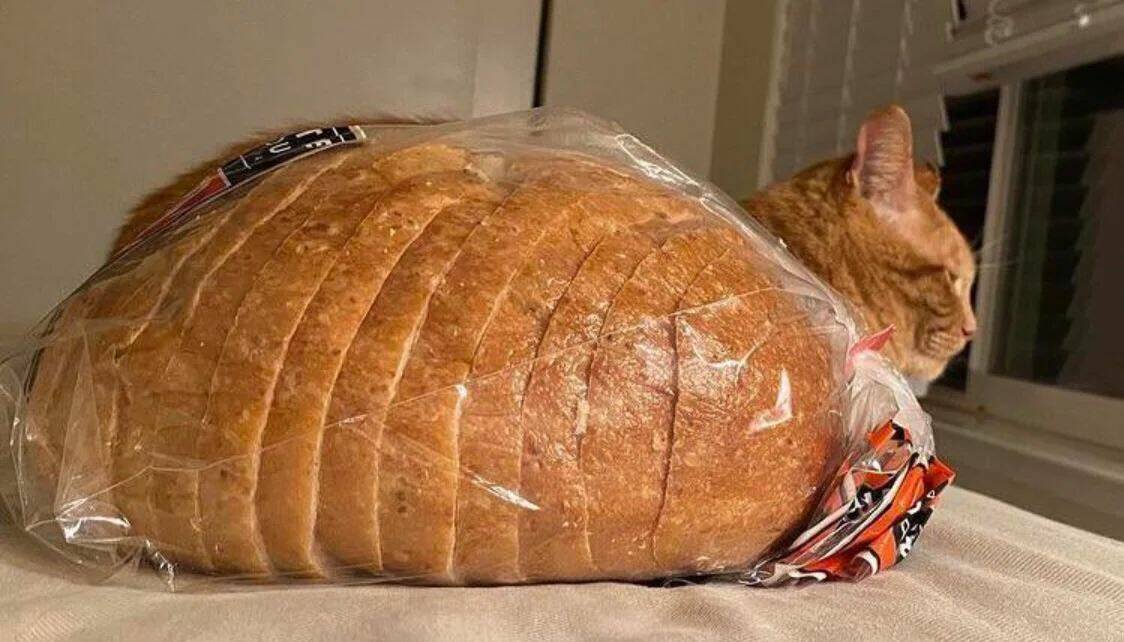 Daily Pictures. Part 1 (66 pics)