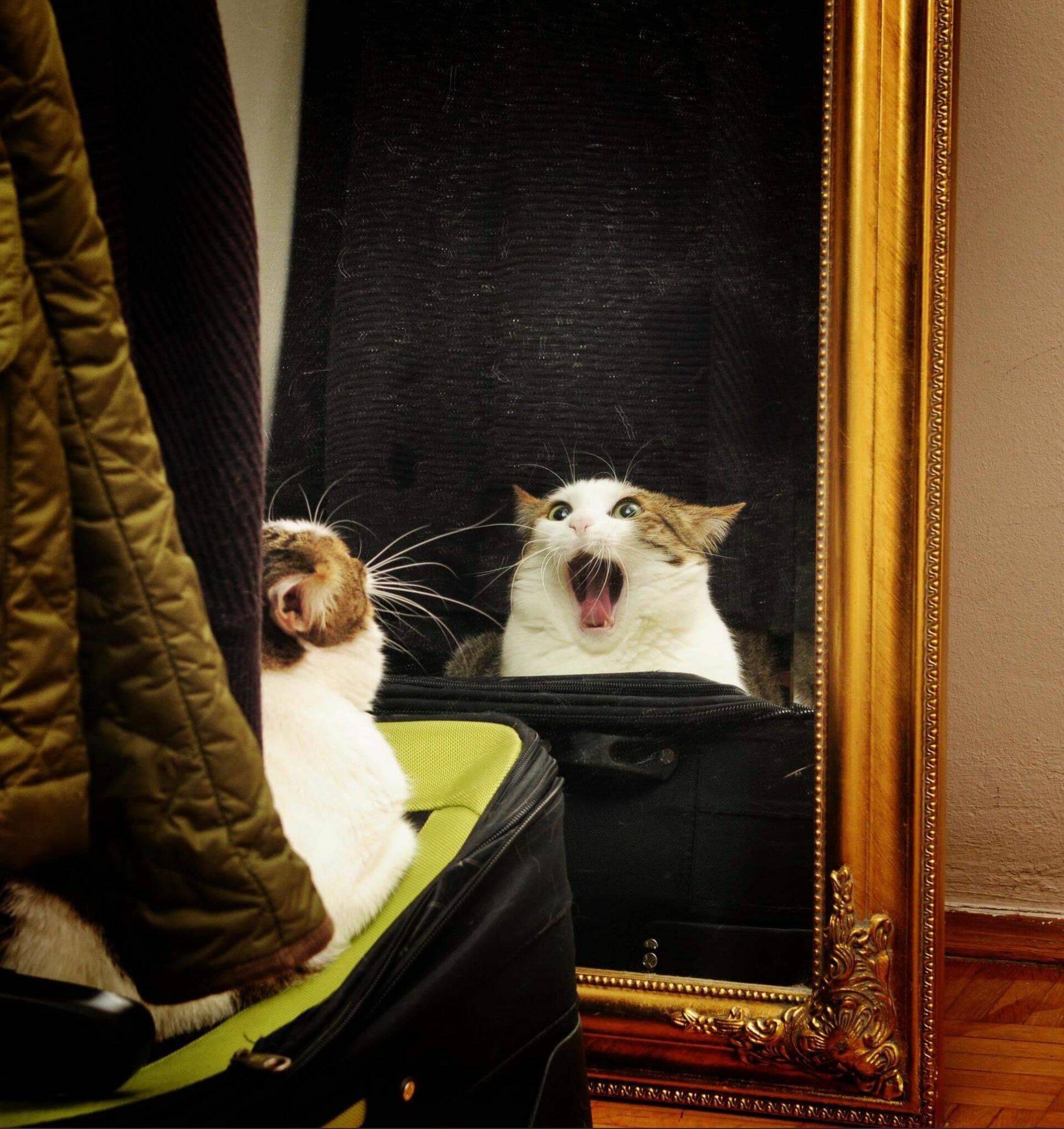 Daily Pictures. Part 1 (66 pics)