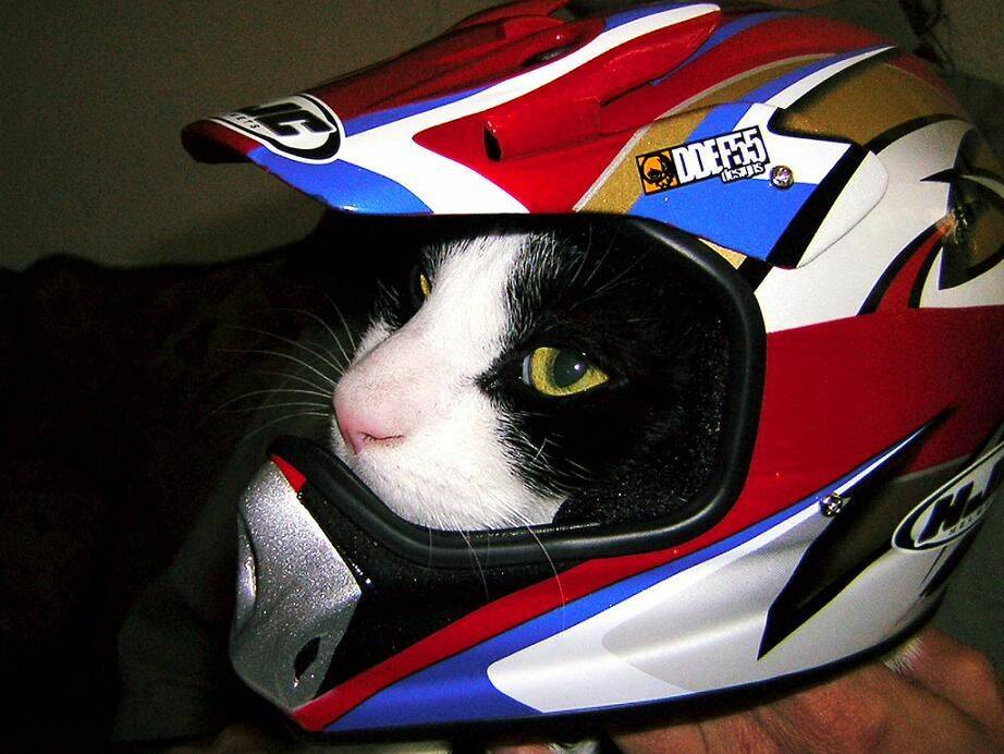 Daily Pictures. Part 1 (66 pics)