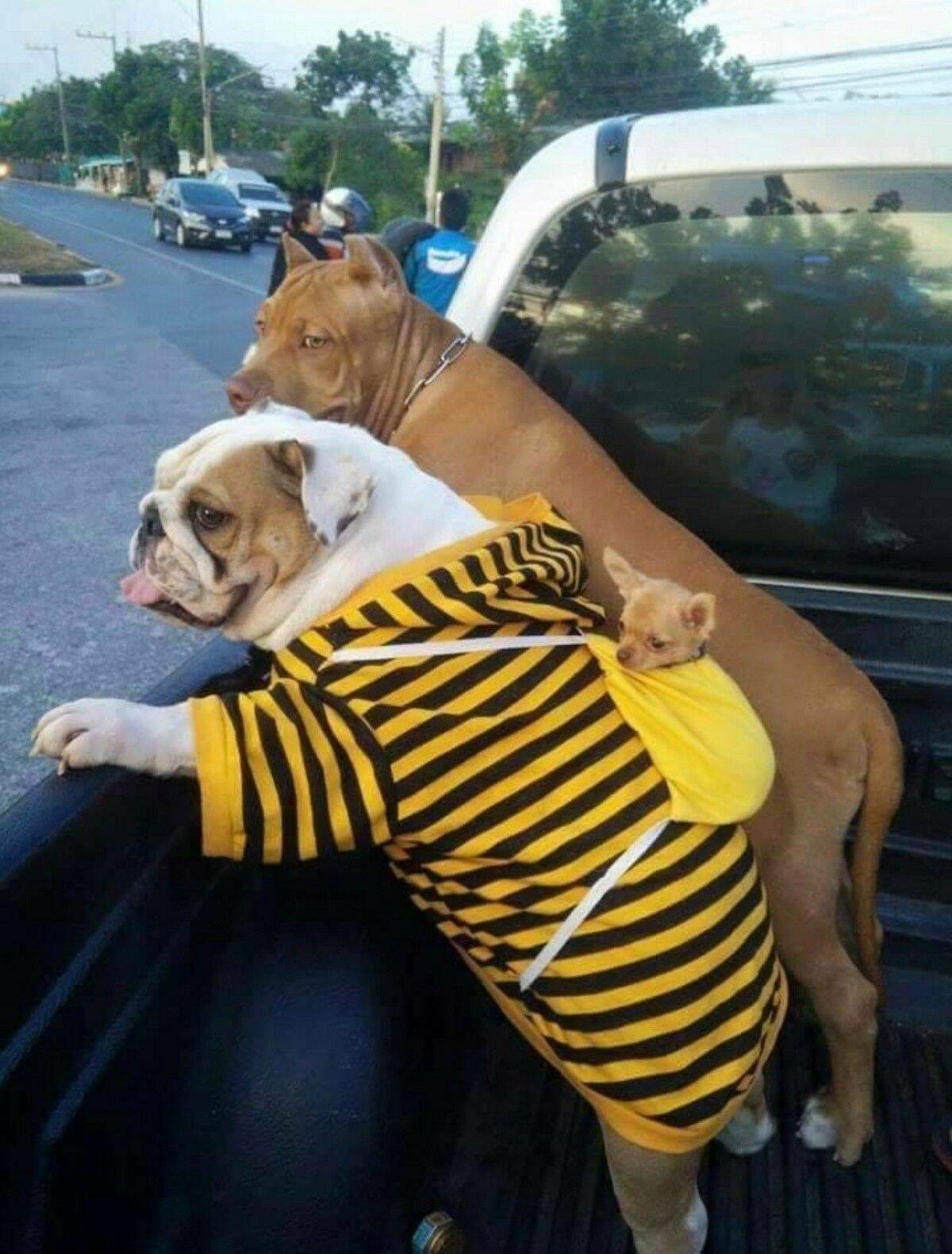 Daily Pictures. Part 1 (66 pics)