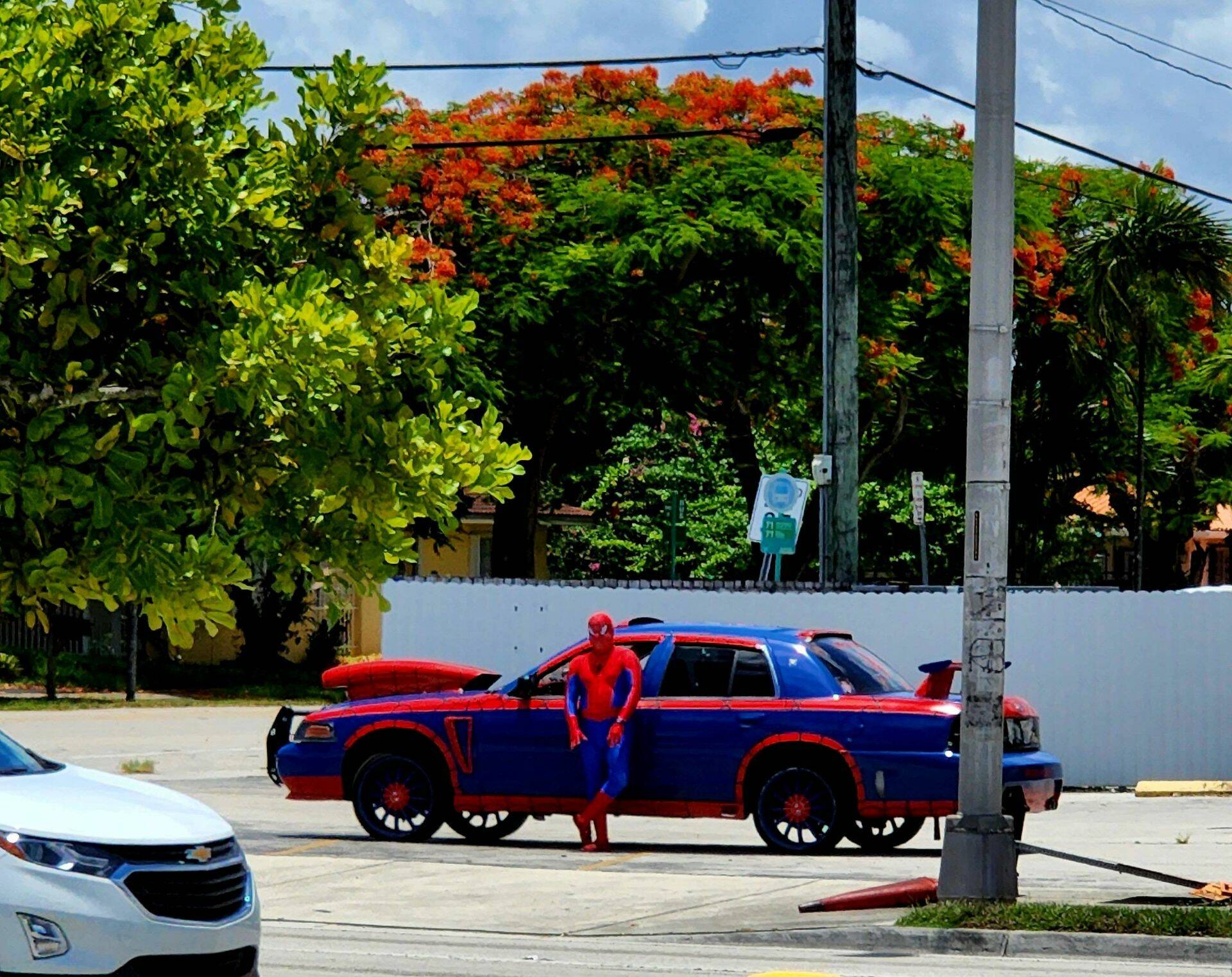 Daily Pictures. Part 1 (66 pics)