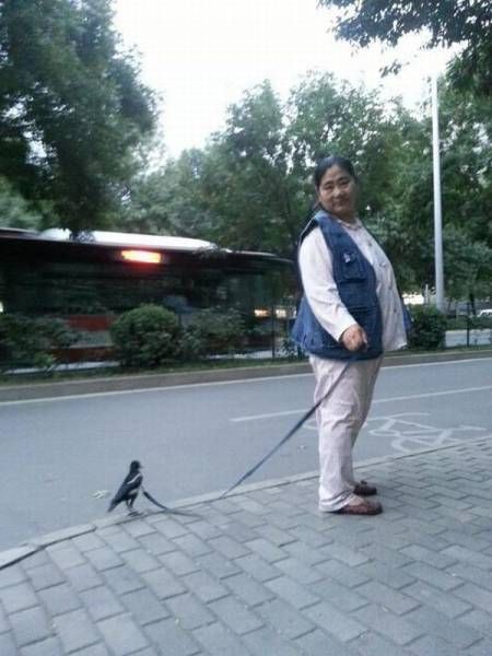 Daily Pictures. Part 1 (66 pics)