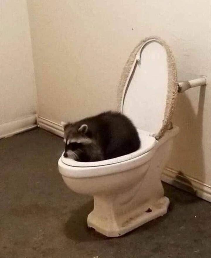 Daily Pictures. Part 1 (66 pics)