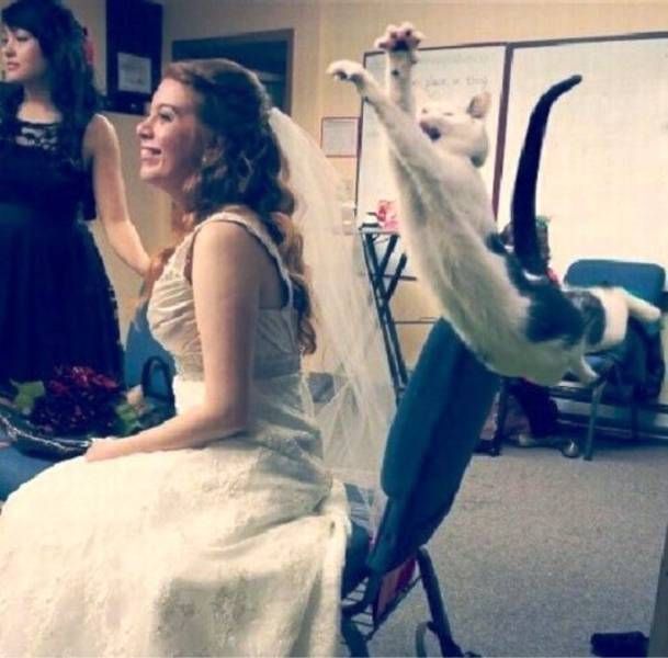 Daily Pictures. Part 1 (66 pics)