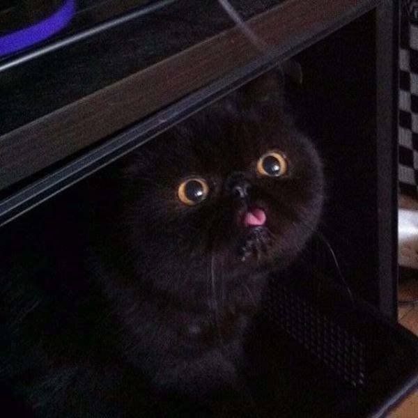 Daily Pictures. Part 2 (65 pics)