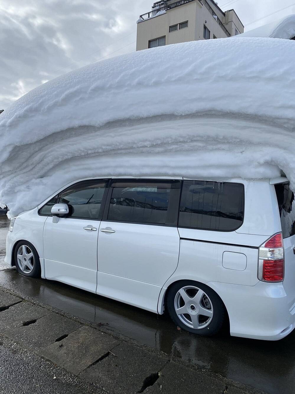 Daily Pictures. Part 1 (66 pics)