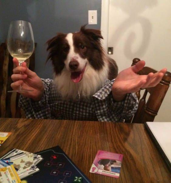 Daily Pictures. Part 1 (66 pics)