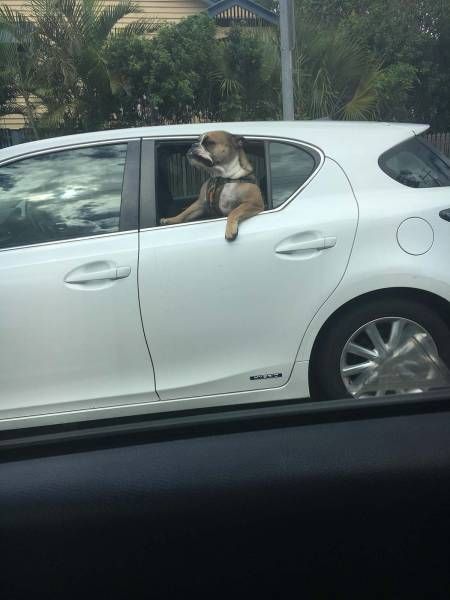 Daily Pictures. Part 1 (66 pics)