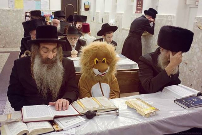 Daily Pictures. Part 1 (66 pics)