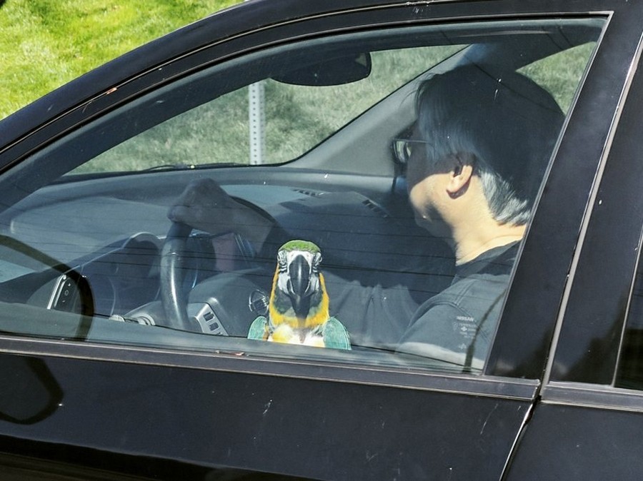 Daily Pictures. Part 1 (66 pics)