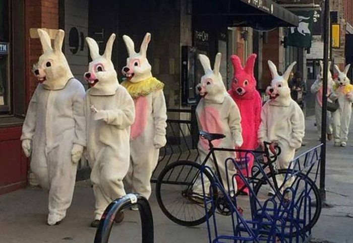 Daily Pictures. Part 1 (66 pics)