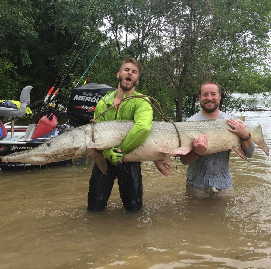 Daily Pictures. Part 1 (66 pics)