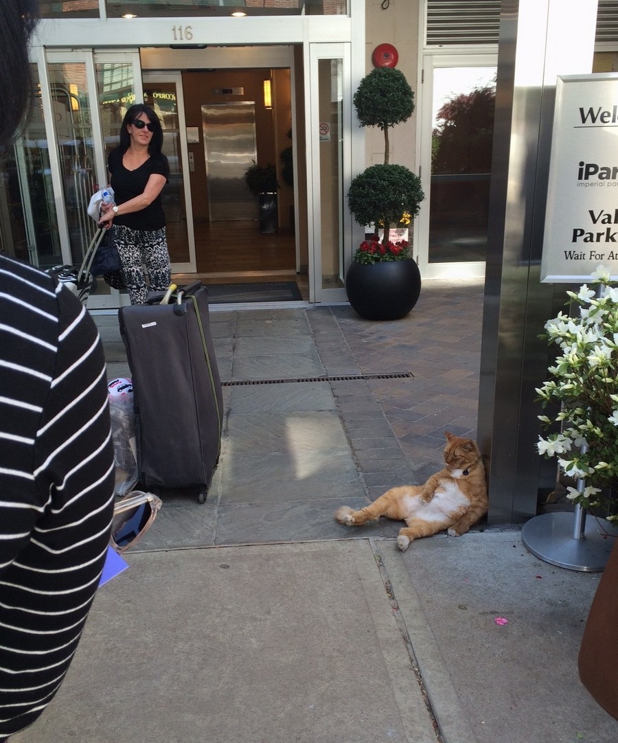 Daily Pictures. Part 1 (66 pics)