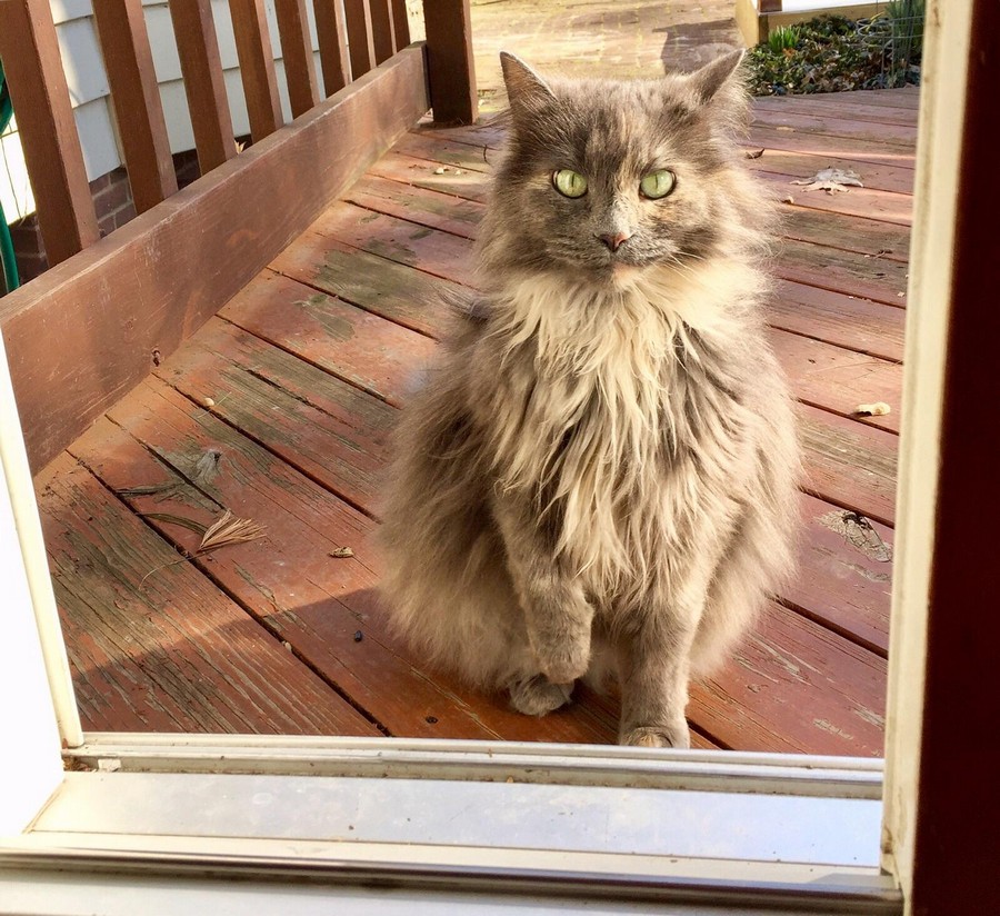 Daily Pictures. Part 2 (65 pics)