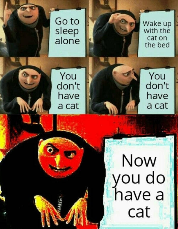 Daily Pictures. Part 2 (65 pics)