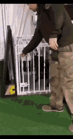 Acid GIFs, November 26 (25 gifs) Acid GIFs, November 26 (25 gifs)