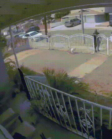 Acid GIFs, November 26 (25 gifs) Acid GIFs, November 26 (25 gifs)