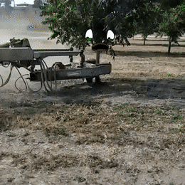 Acid GIFs, November 26 (25 gifs) Acid GIFs, November 26 (25 gifs)