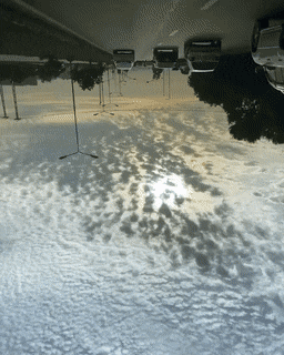 Acid GIFs, November 26 (25 gifs) Acid GIFs, November 26 (25 gifs)