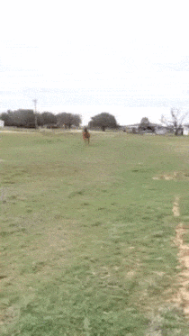 Acid GIFs, November 26 (25 gifs) Acid GIFs, November 26 (25 gifs)